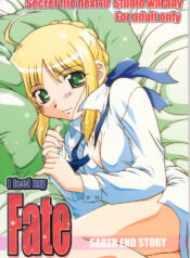 (C66) [Studio Wallaby (Takana Yu-ki)] Secret file next 10 – I feel my Fate (Fate/stay night)