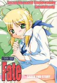 (C66) [Studio Wallaby (Takana Yu-ki)] Secret file next 10 – I feel my Fate (Fate/stay night)