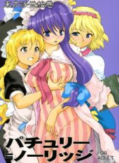 (C71) [Paranoia Cat (Fujiwara Shunichi)] Touhou Ukiyo Emaki Patchouli Knowledge (Touhou Project) [English]