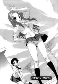 [Kikkawa Kabao] Sukeban tte ka? | You're the Sukeban? (Kyonyuu Shijou Shugi) [English] [YQII]