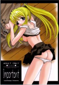 (SC23) [Yukimi Honpo (Asano Yukino)] Important (Fullmetal Alchemist)