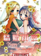 (C74) [CASMANIA (Mozuya Murasaki)] Kekkon Shoya (Dragon Quest V)