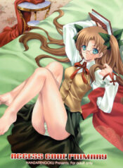 (C66) [Hanzai Tengoku (Hasei Agana)] ACCESS CODE PRIMARY (Fate/stay night)